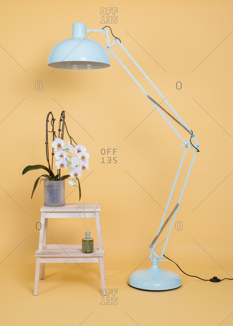 Modern white floor lamp placed near wooden stool with potted flowers against yellow wall in studio