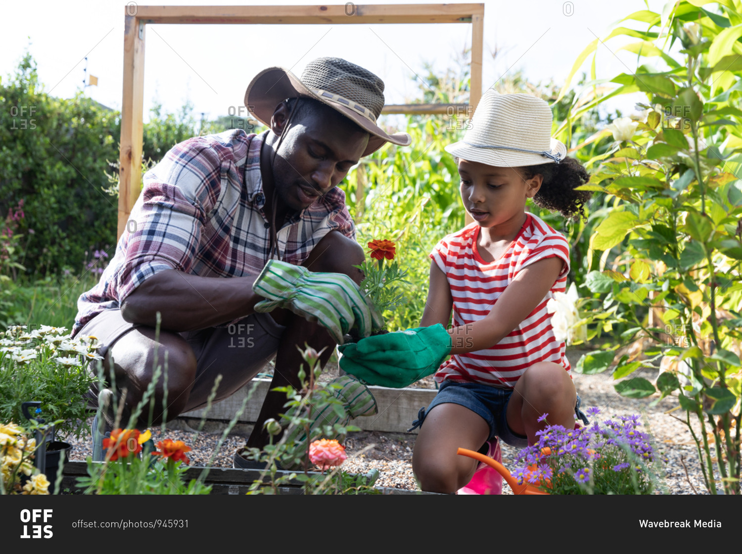 African American girl and her father social distancing at home during quarantine lockdown, spending time in their garden together, planting flowers, on a sunny day.