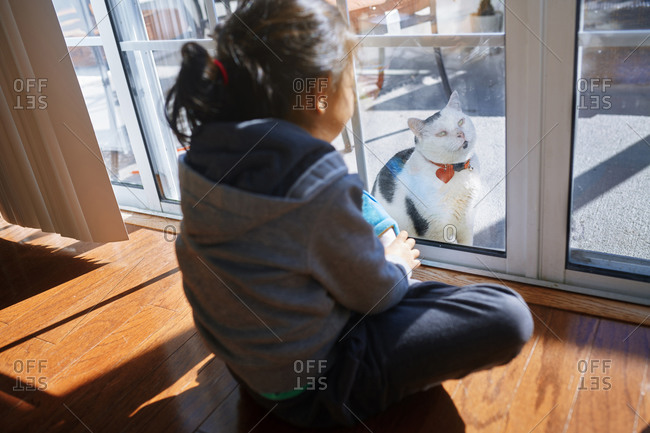 Girl playing with cat behind the glass door