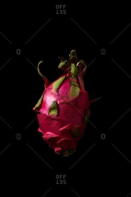 Whole ripe red pitaya or dragon fruit on black background