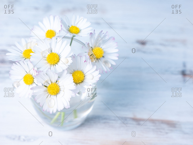 Small bunch of daisies on a vase from above, on a wooden table