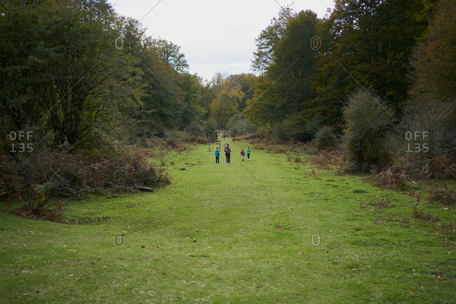 Family walking in a beech forest