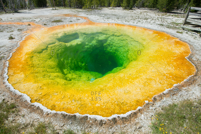Famous Morning Glory Pool in Yellowstone National Park, Upper Geyser Basin,