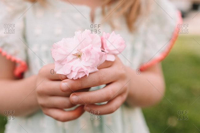 Toddler girl holding cherry blossoms