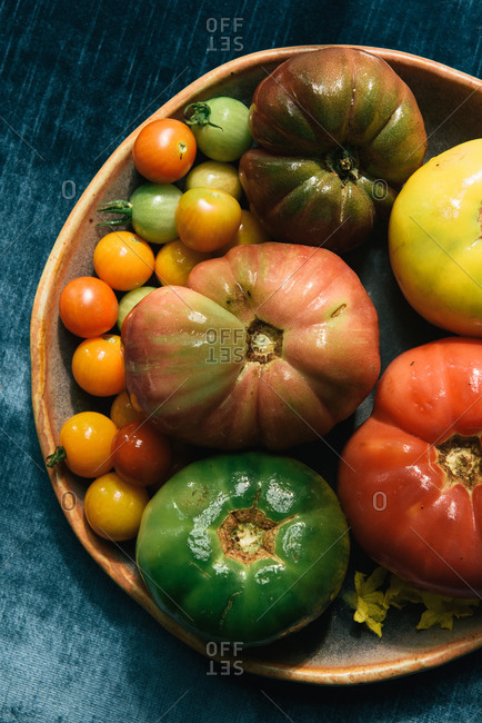 Overhead of colorful bunch of fresh tomatoes from the garden