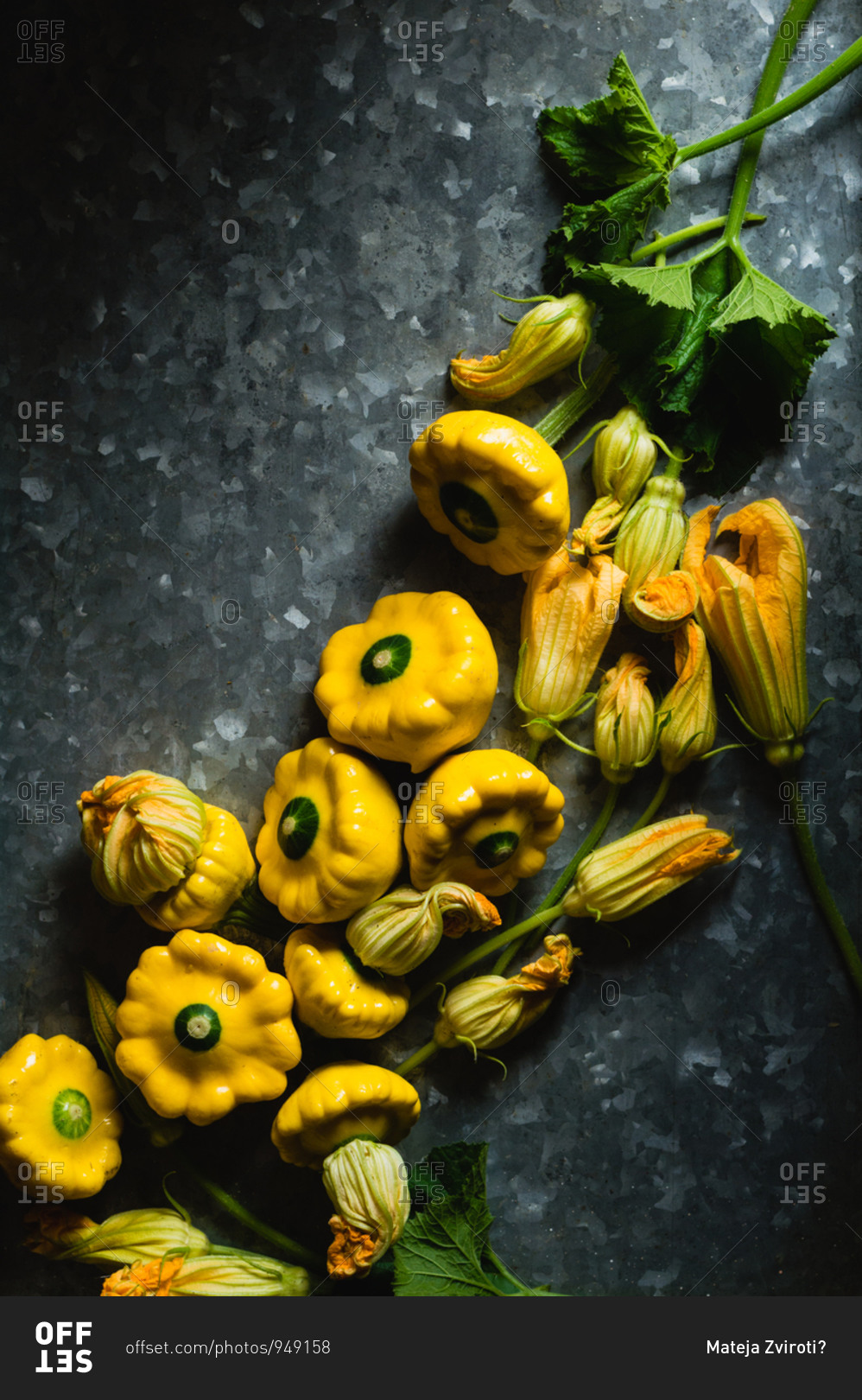 Bunch of freshly harvested patty pan squashes