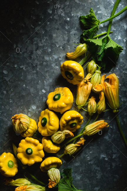 Bunch of freshly harvested patty pan squashes