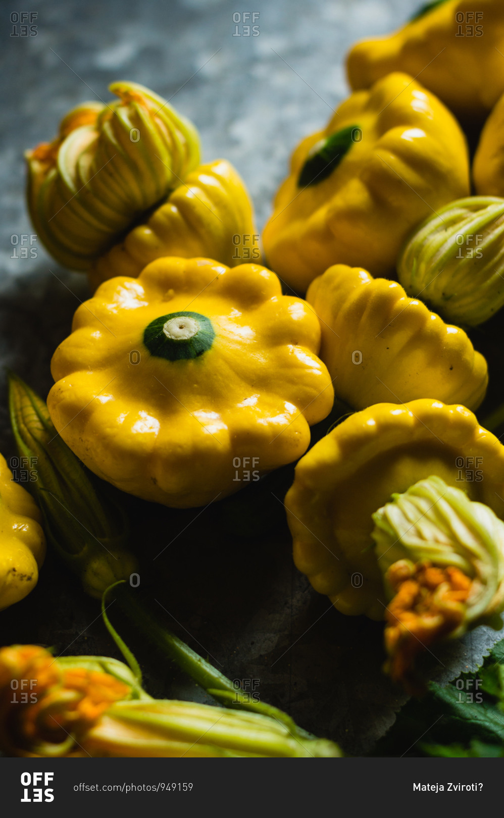 Close up of freshly harvested patty pan squashes