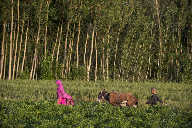 Shahr-e Zohak, Bamiyan, Afghanistan - June 24, 2011: A girl and boy walk with a donkey.