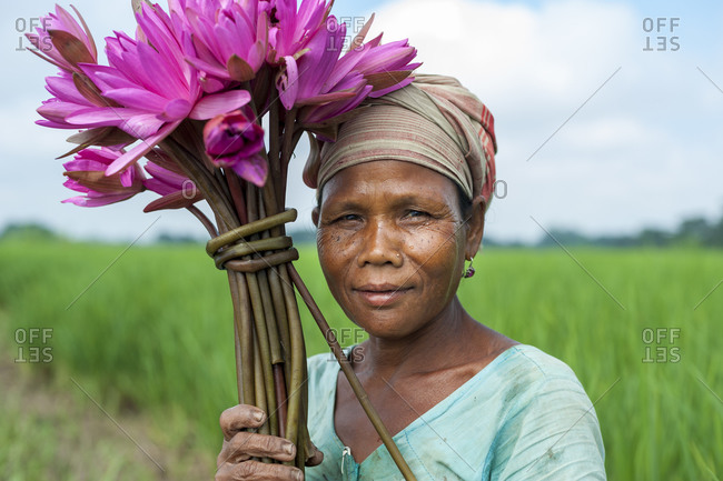 A woman harvests lotus flowers from a lily pond in Northeast India