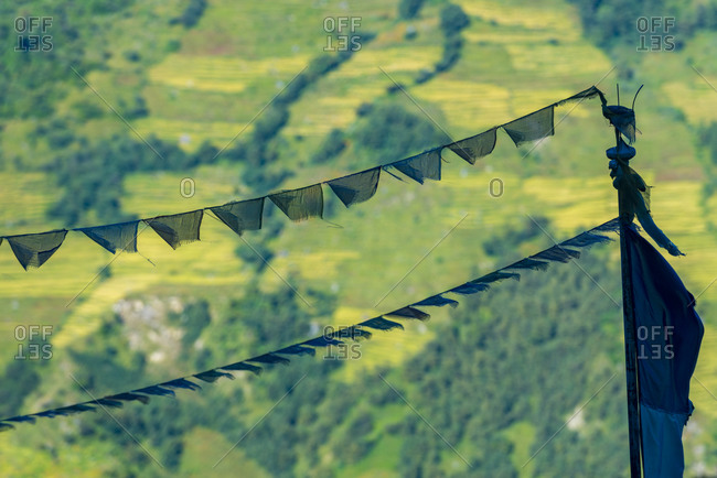 Prayer flags in front of a terraced mountainside
