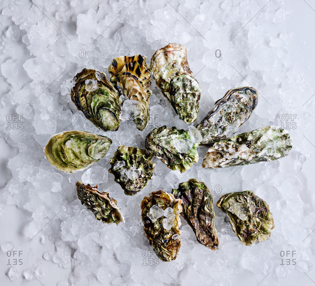 Flatlay of dozen fresh oysters served on ice with lemons