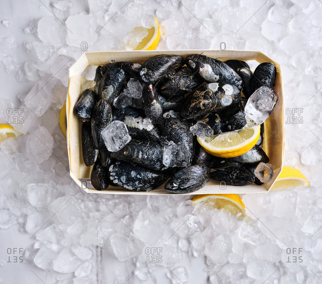 Box filled with freshly caught blue mussels on crushed ice with lemons