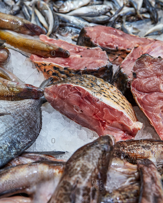 Fresh raw pieces and a whole variety of fish on ice in a seafood store. Assortment of fresh seafood for a healthy diet.