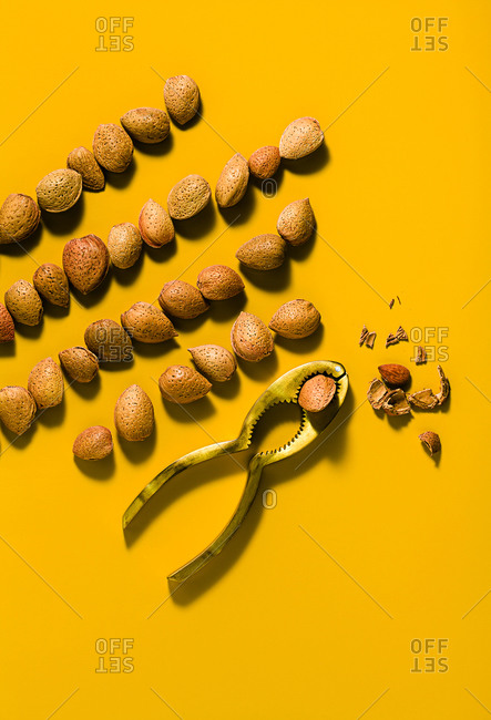 Different types of nuts in shell and nutcracker on a yellow background with soft shadows, copy space. Top view.