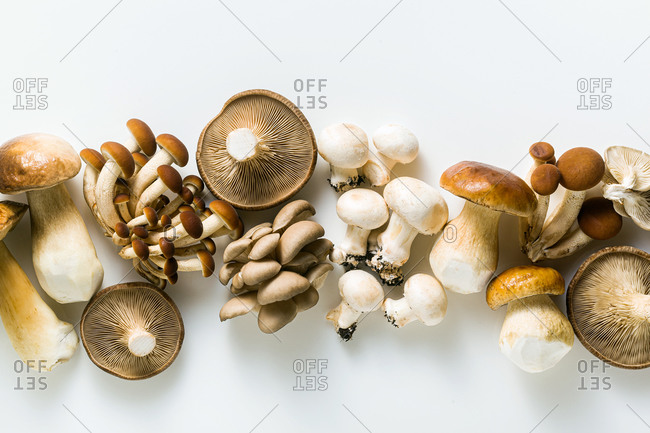 Set of variety of edible mushrooms on a white table - portobello, cremini, enoki, oyster and shiitake, ingredients for cooking or advertising for the supermarket. Copy space.