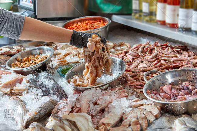 Seller's hand in a black glove holds raw octopus on the background of a variety of seafood on the ice. The concept of business and the sale of seafood