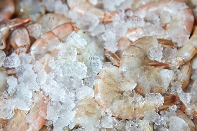 Fresh raw shrimp on ice close-up. Healthy Sea Food Selling Concept. Top view