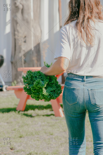 Young woman holds a fresh bunch of kale, picked from Brooklyn farm