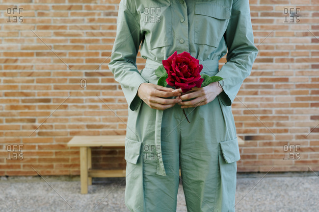 Woman holding red rose- standing  front of brick - mid section