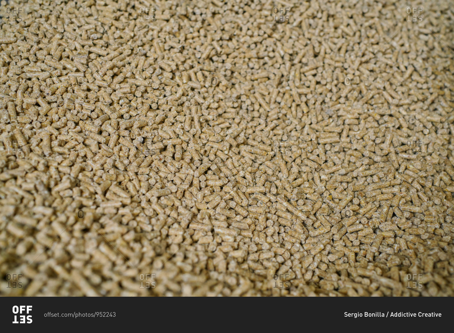Closeup of heap of dry fresh feed for cows stored in warehouses in modern farm in countryside