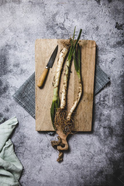 Top view of bunch of ripe dirty calsot onion placed on tray and linen cloth on wooden table near knife in Catalonia, Spain