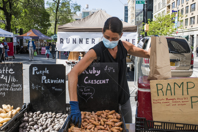 New York City, New York, USA - May 21, 2020: Farmer wearing a face mask   selecting and bagging potatoes for a customer Union Square Farmer's Market, New York City, USA.
