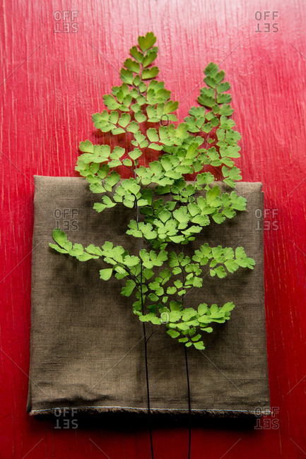 Two fronds of maidenhair fern sitting on a brown linen napkin on a red wooden tabletop