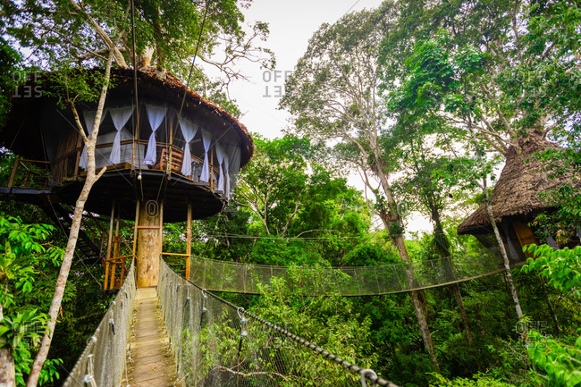 One of the tree houses at the Tree House Lodge in the Amazon Jungle, Peru, South America