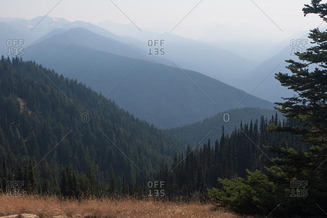 Mountains, Olympic National Park, UNESCO World Heritage Site, Washington State, United States of America, North America