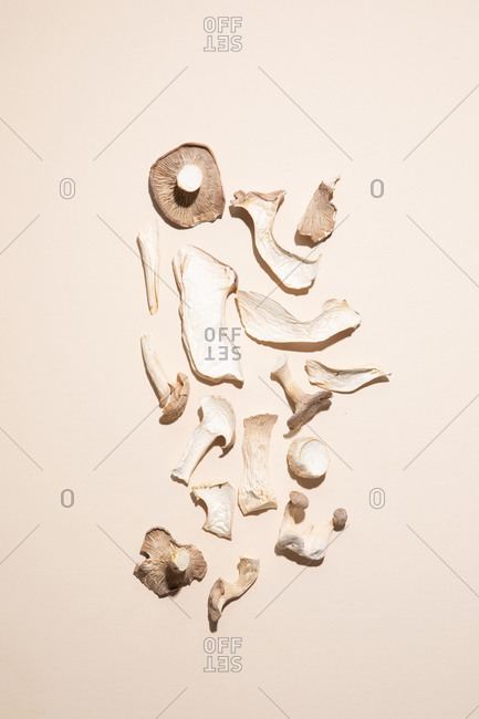 Dried Royal Trumpet mushrooms on a pale background with harsh light