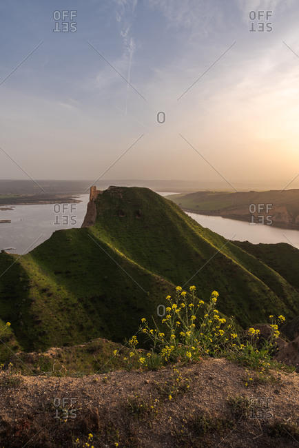 Small yellow flowers growing against green grassy hill in peaceful nature near ancient tower ruins on a sunset landscape with lake on the background