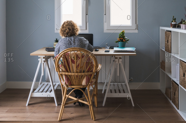 Back view of adult woman in casual clothes working on laptop in earphones at room decorated with cactuses in ceramic pots