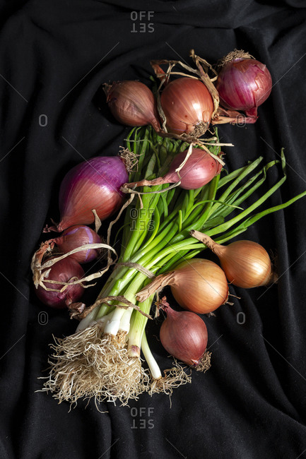 Fresh red and white onions on dark background. Vegan food. Food Ingredient