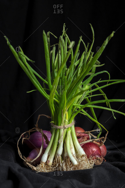 Fresh red and white onions on dark background. Vegan food. Food Ingredient