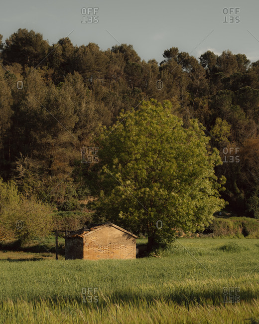 Small brick building beside large tree in a field