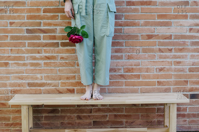Woman standing on bench in front of brick wall- holding red rose- low section