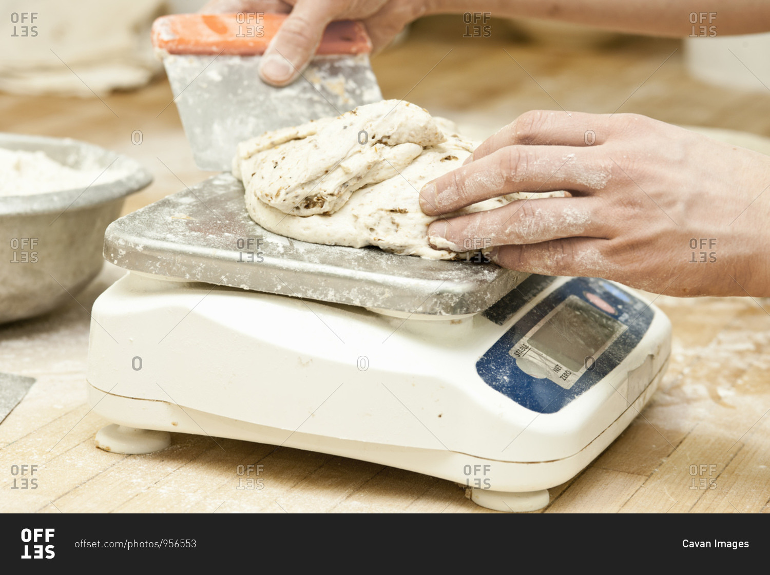 Baker Dough Scales Demo Video 