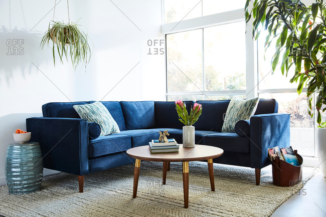 June 1, 2020: Blue velvet sectional sofa in modern living room with natural light