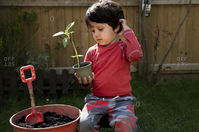 A young boy in a garden planting a sunflower seedling in a plant pot.