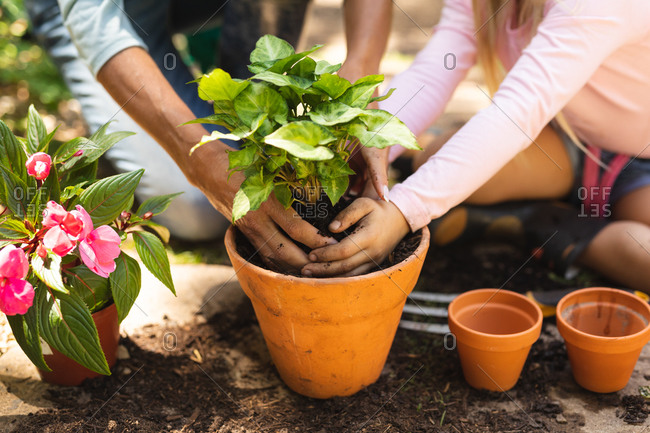 Mid section close up of a Caucasian woman and her daughter enjoying time together in a sunny garden, planting a seedling in a plant pot