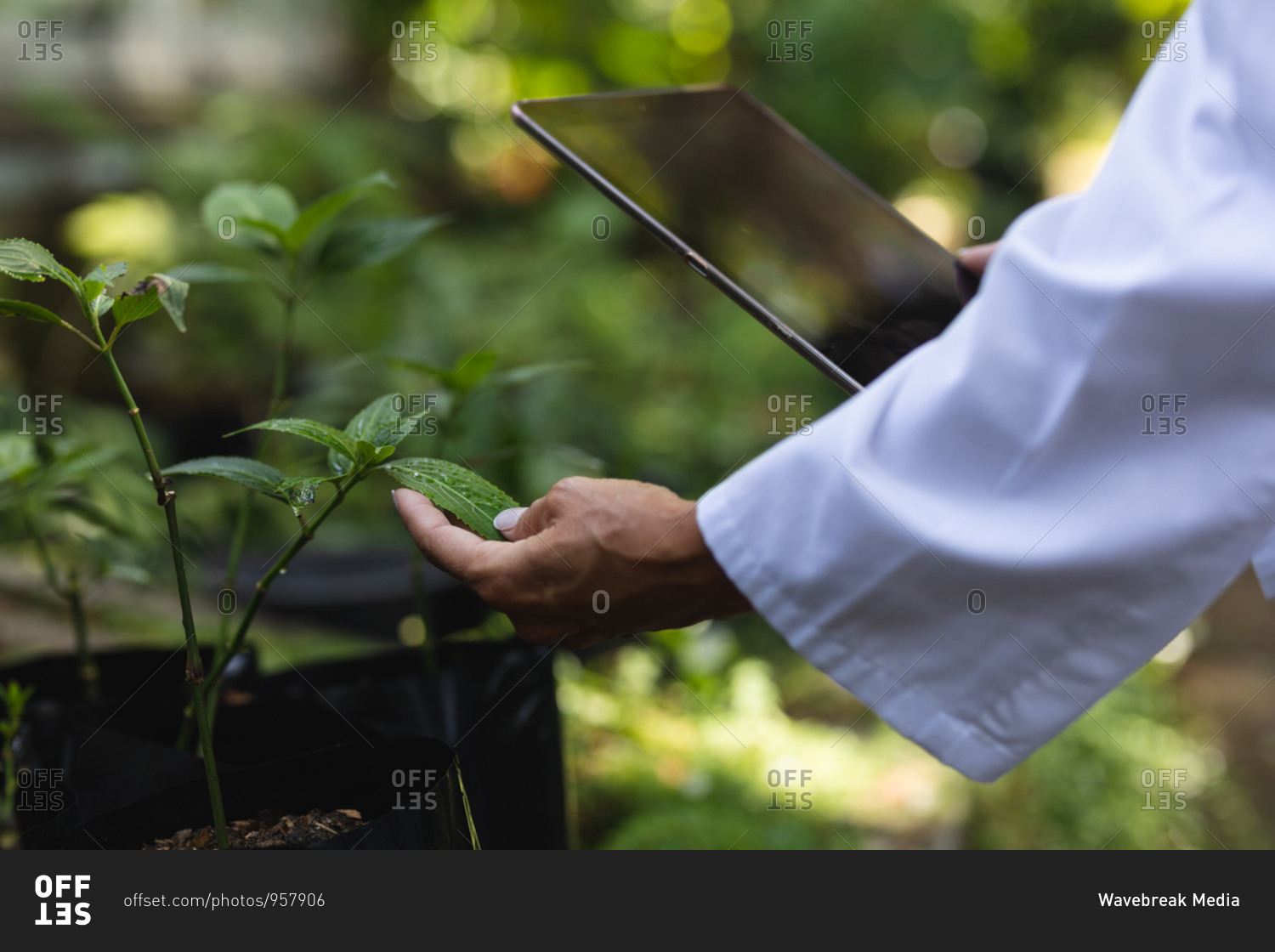 mid-section-close-up-of-a-caucasian-woman-with-long-brown-hair-wearing