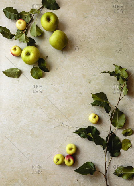 Apples with leaves and branches on a beige marble background; copy space.