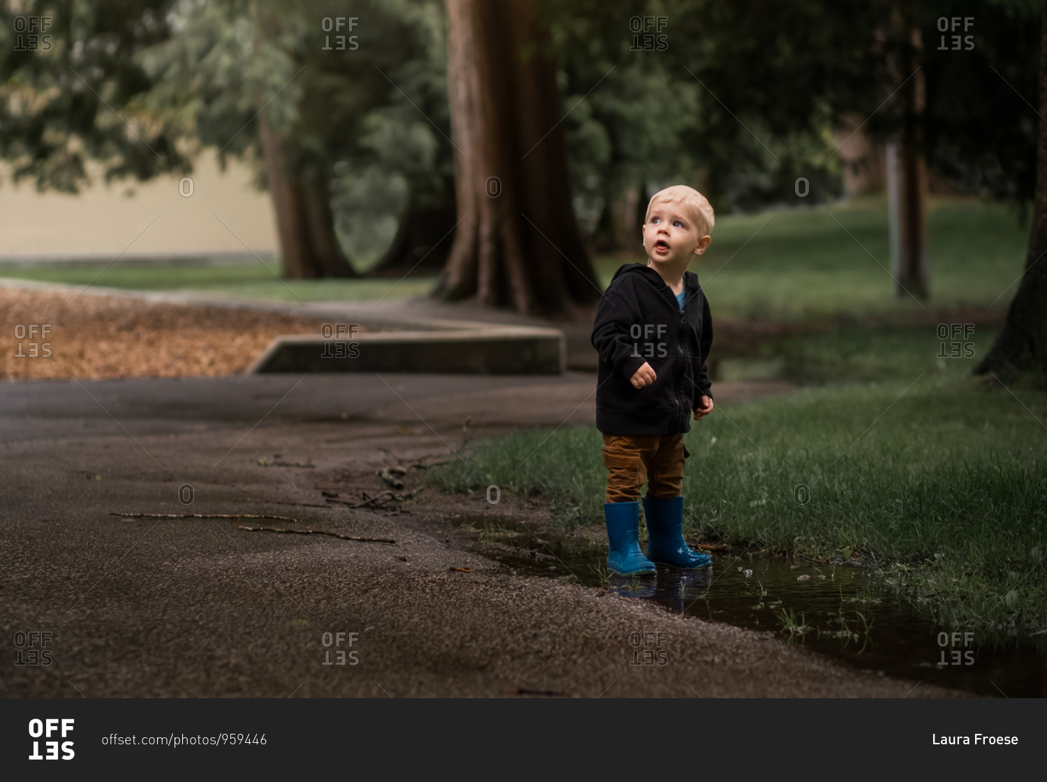 Toddler boy standing in puddle beside path looking up at the trees