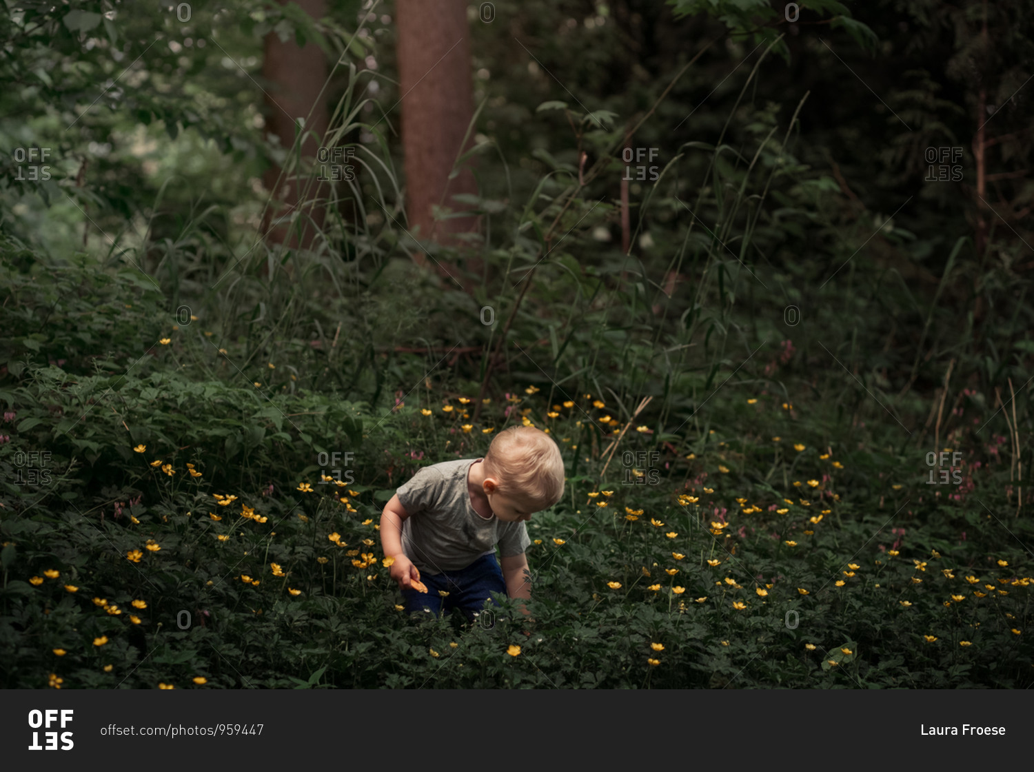 Toddler boy standing among a bunch of yellow flowers in the woods