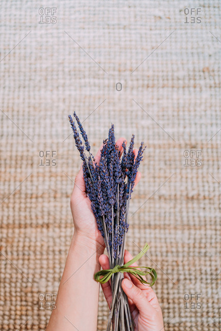 From above of crop unrecognizable person carefully holding dried small bouquet of purple aromatic lavender flowers tied with green ribbon against background of woven rug in daytime