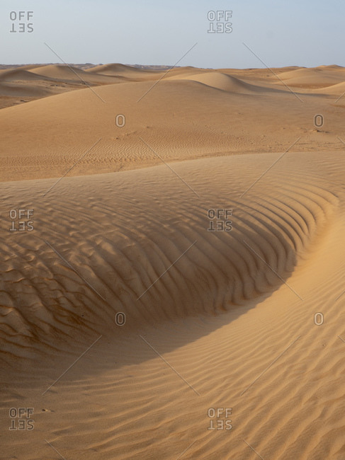 Sand dunes in the Ramlat Al Wahiba Desert, known locally as the Empty Quarter, Sultanate of Oman, Middle East