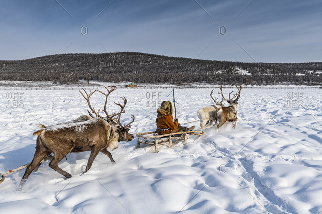 Friendly Evenc family on sledges pulled from reindeers, Oymyakon, Sakha Republic (Yakutia), Russia, Eurasia