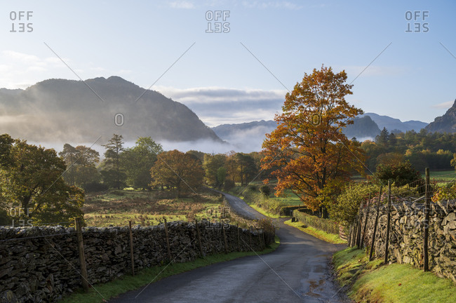 Autumn scene with morning mist in autumn, Borrowdale, Lake District National Park, UNESCO World Heritage Site, Cumbria, England, United Kingdom, Europe