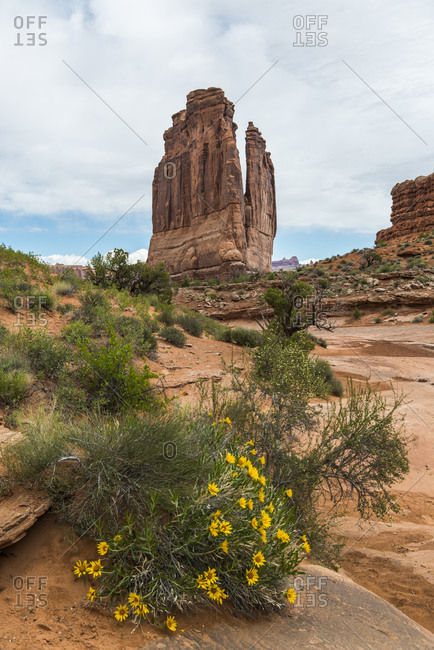 Courthouse Towers, Tower of Babel, The Organ, Arches National Park, Utah, USA